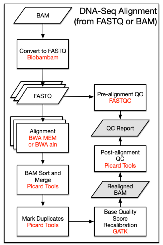 DNA-Seq Alignment Pipeline