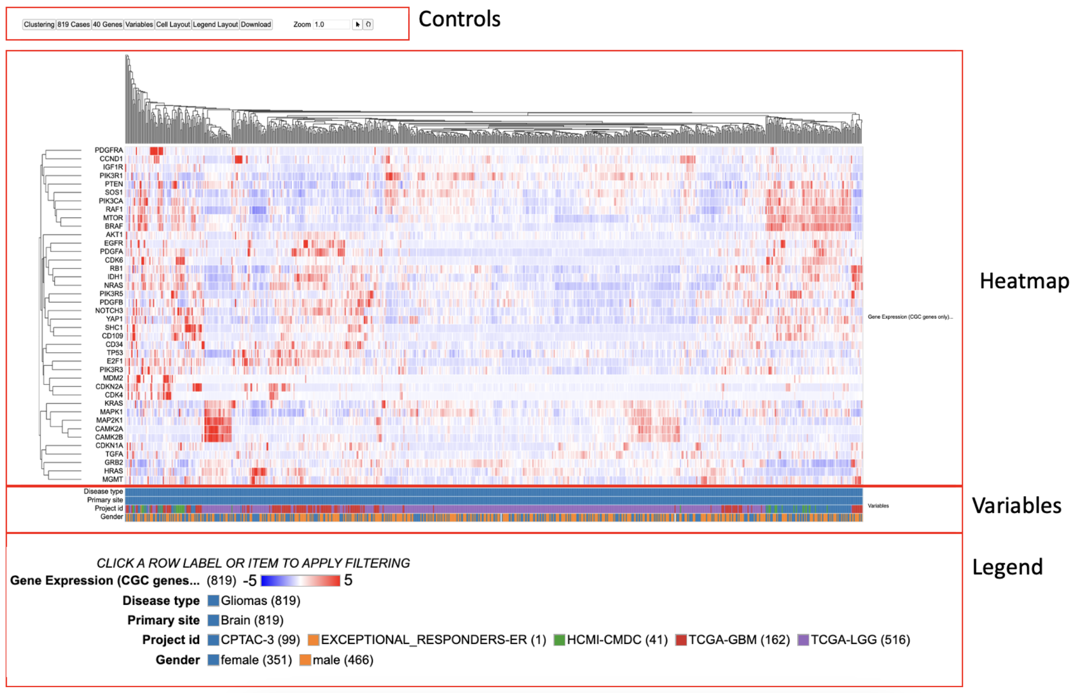 Gene Expression Clustering Tool Features