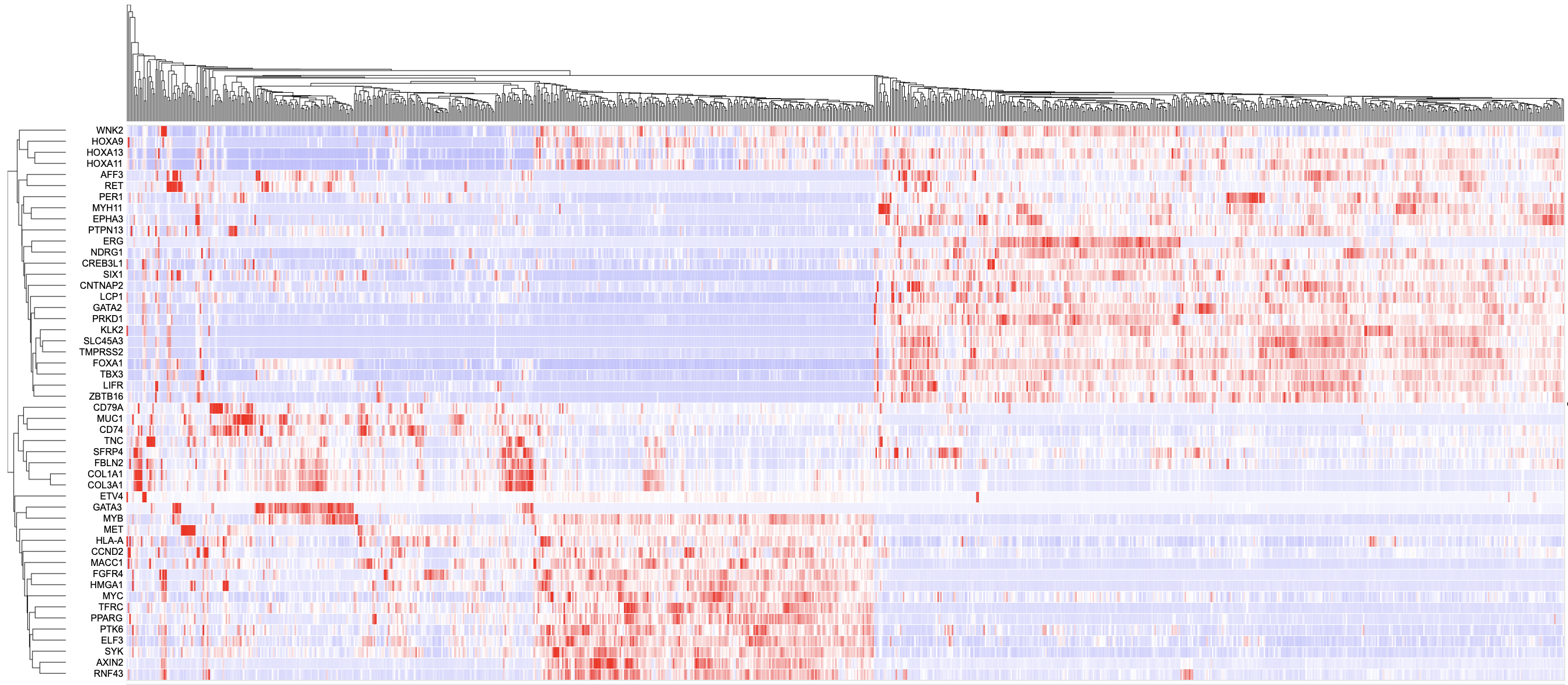 Gene Expression Clustering Tool Heatmap