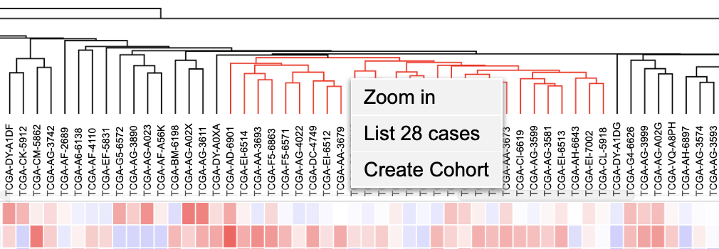 Gene Expression Clustering Tool Heatmap Cases Dendrogram