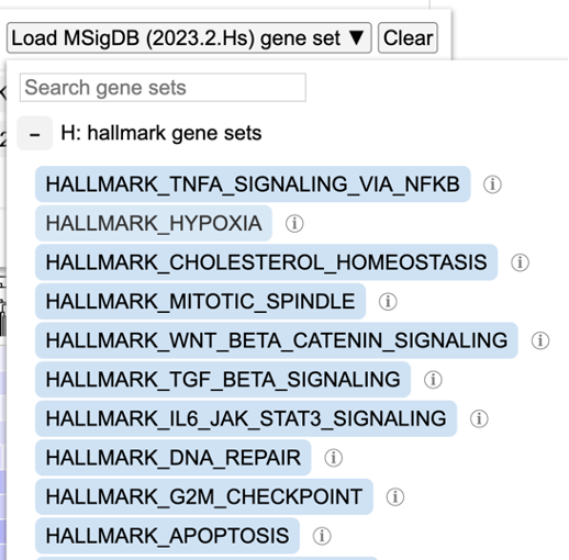 Hallmark hypoxia gene set