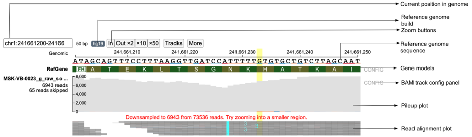 ProteinPaint Genome Browser