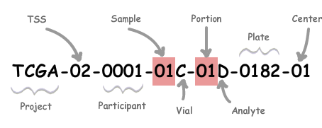 Reading Barcodes